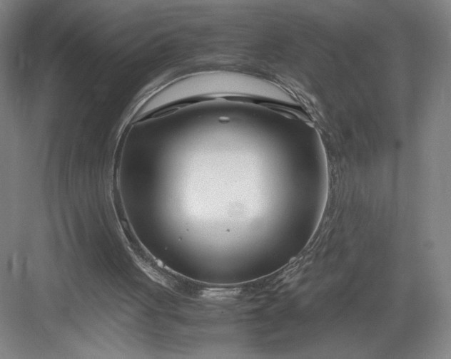 X0000082950051200702152250