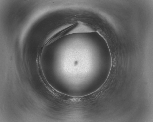 X0000082950052200702152250