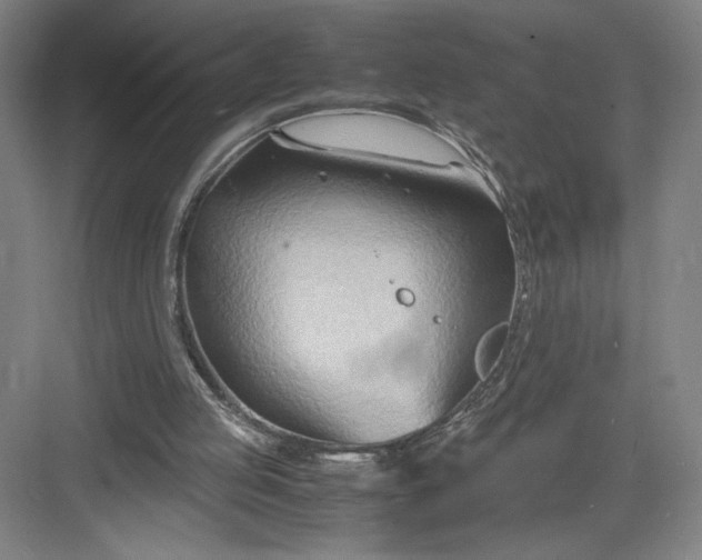 X0000082950053200702152250