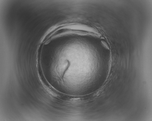 X0000082950054200702152250