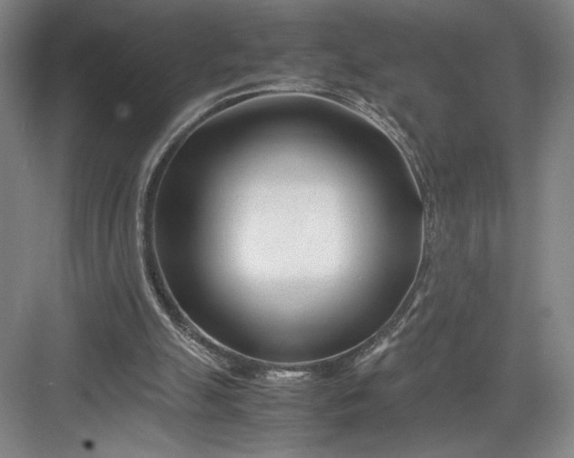 X0000082950055200702152250