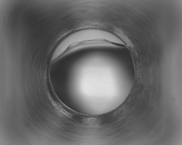 X0000082950058200702152250