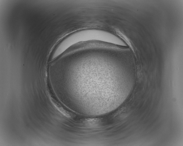 X0000082950059200702152250