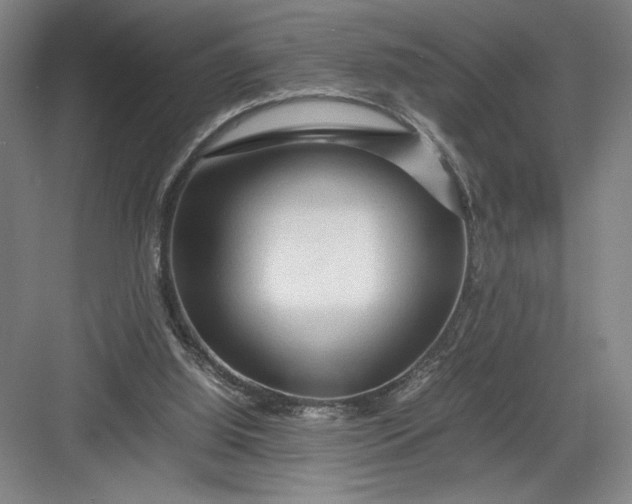 X0000082950060200702152250