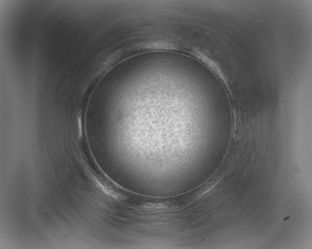 X0000082950061200702152250