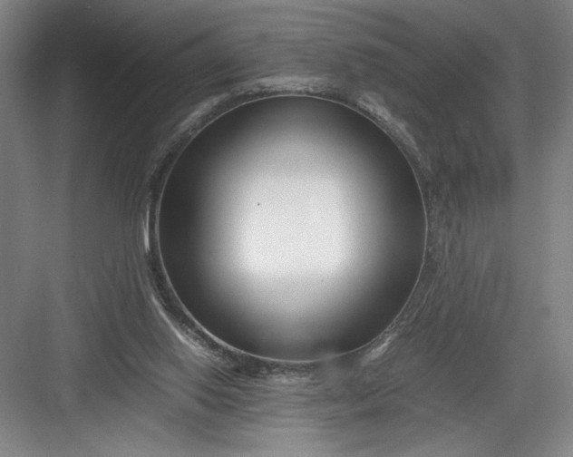 X0000082950062200702152250