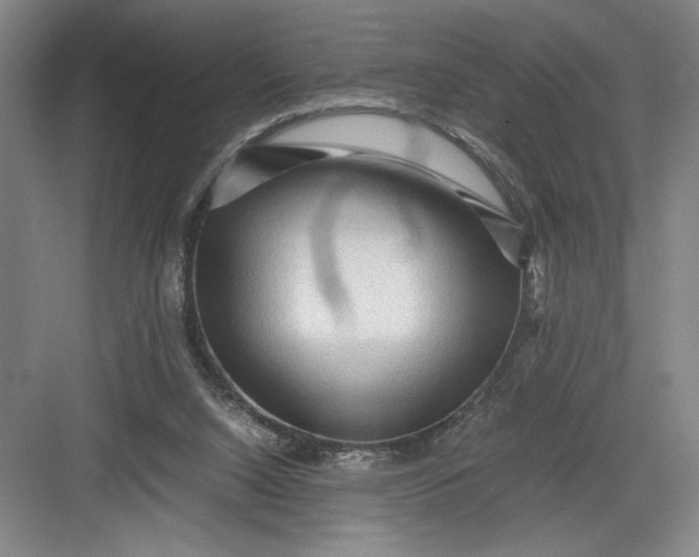 X0000082950064200702152250