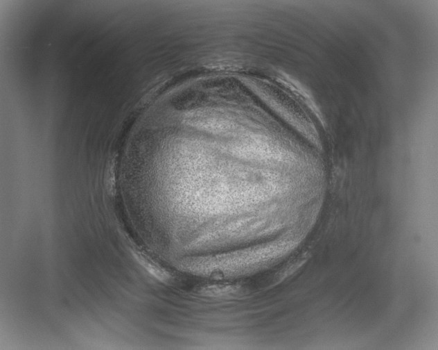 X0000082950065200702152250