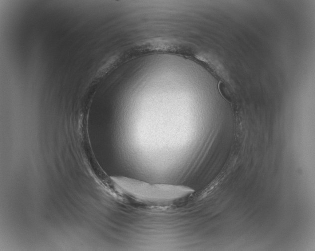 X0000082950066200702152250