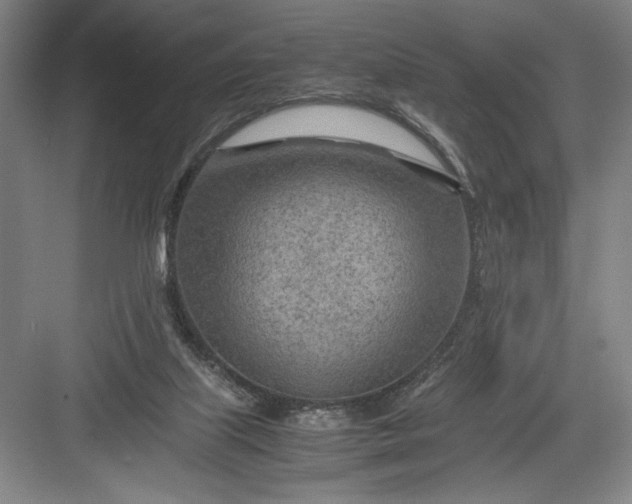 X0000082950067200702152250