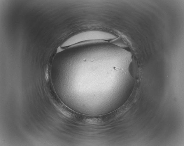 X0000082950069200702152251