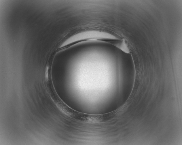 X0000082950070200702152251