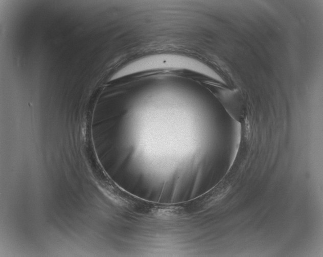 X0000082950072200702152251