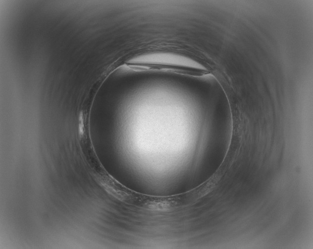 X0000082950075200702152251