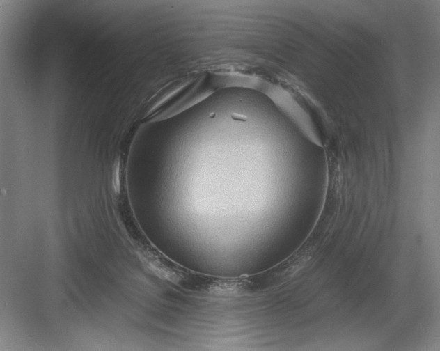 X0000082950076200702152251