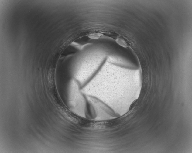 X0000082950078200702152251