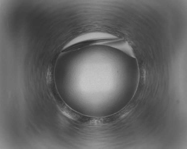 X0000082950080200702152251