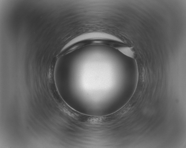 X0000082950084200702152251