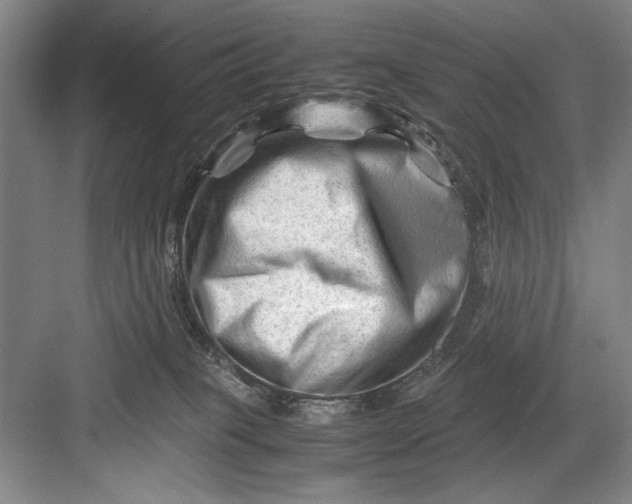 X0000082950085200702152251