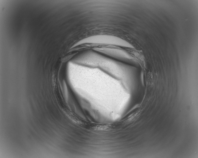 X0000082950086200702152251