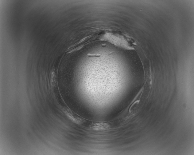 X0000082950087200702152251