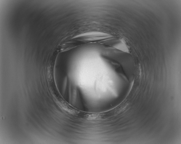 X0000082950088200702152251