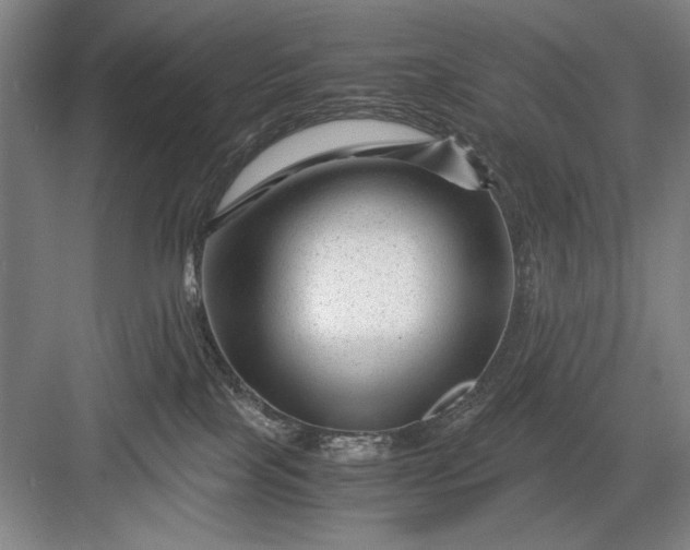 X0000082950089200702152251