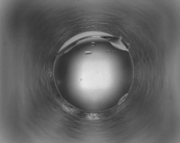 X0000082950091200702152251