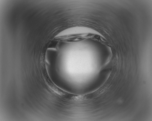 X0000082950092200702152251