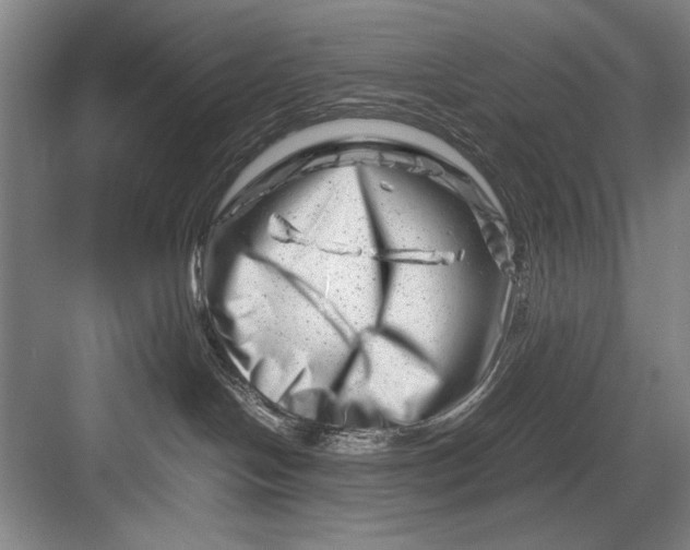 X0000082950094200702152251