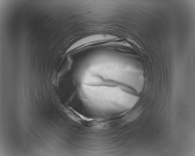 X0000082950096200702152251