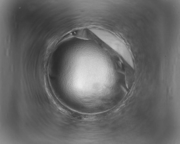 X0000082950097200702152250