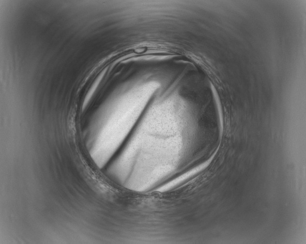 X0000082950098200702152250