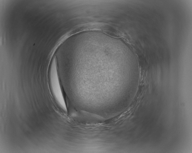 X0000082950099200702152250