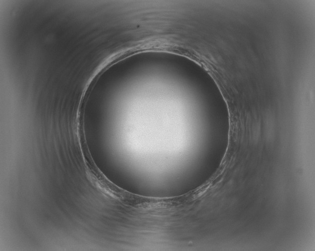 X0000082950100200702152250