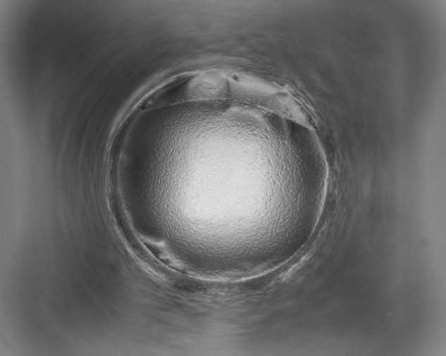 X0000082950101200702152250