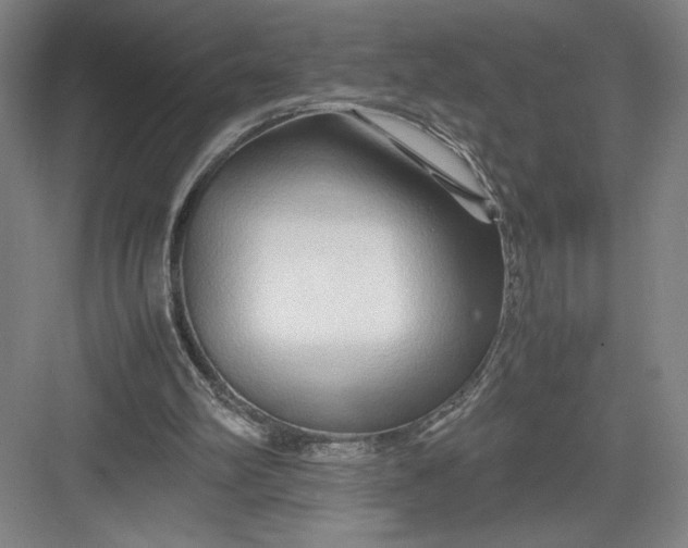 X0000082950102200702152250