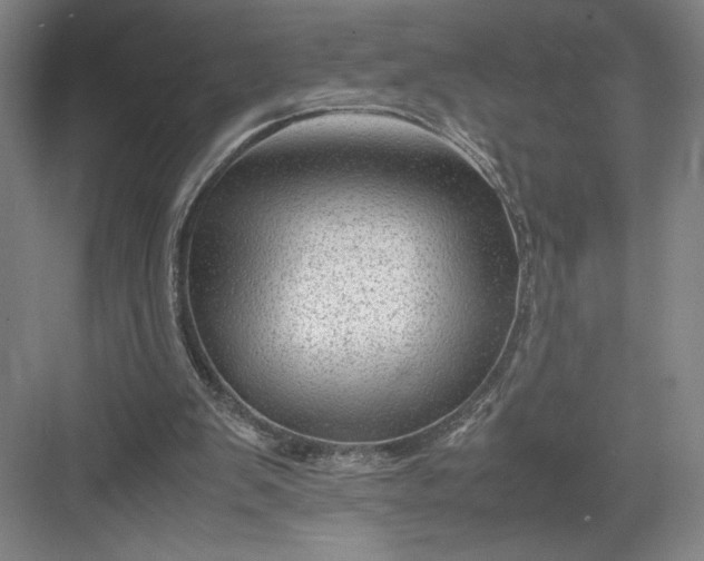 X0000082950103200702152250