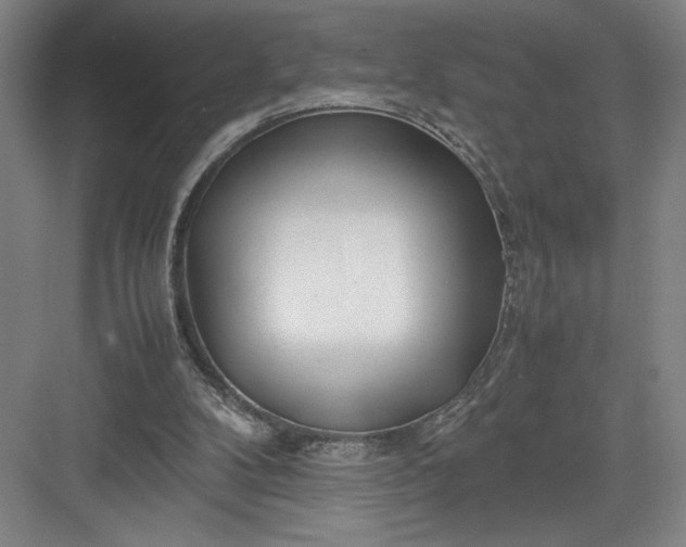 X0000082950104200702152250