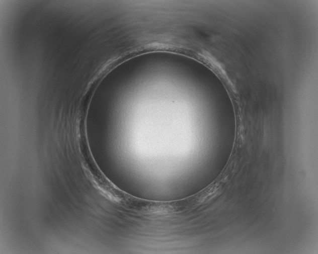 X0000082950106200702152250