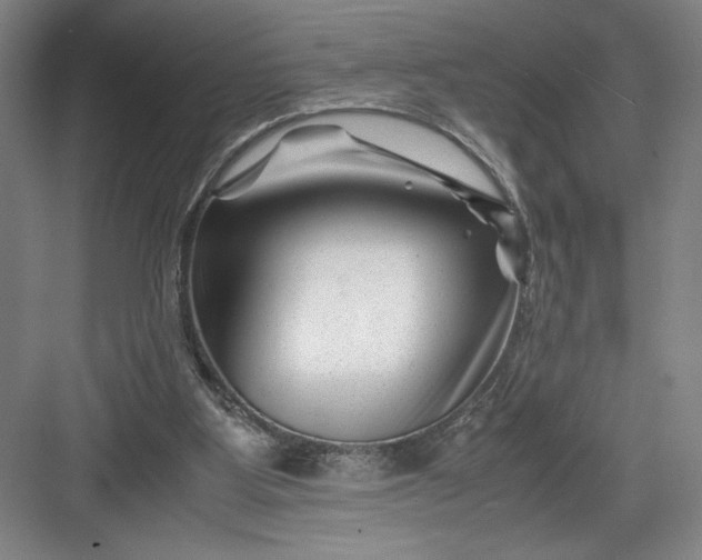 X0000082950107200702152250