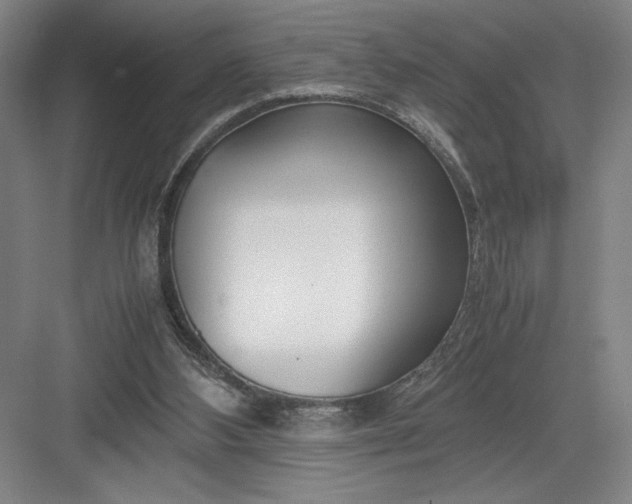 X0000082950108200702152250