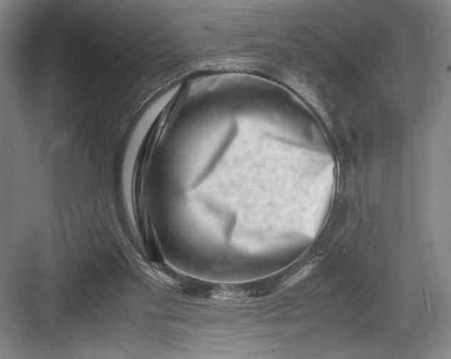 X0000082950109200702152250