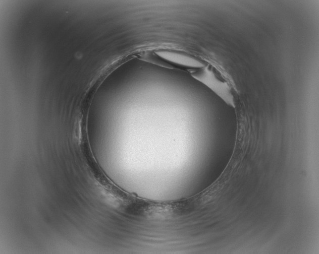 X0000082950110200702152250