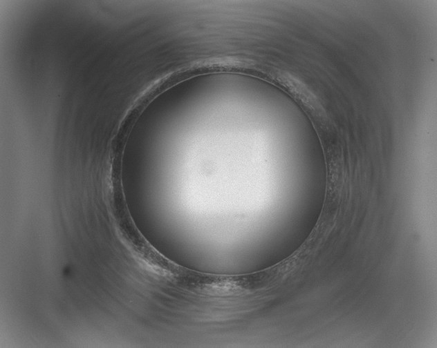 X0000082950112200702152250