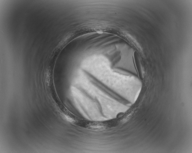 X0000082950113200702152250