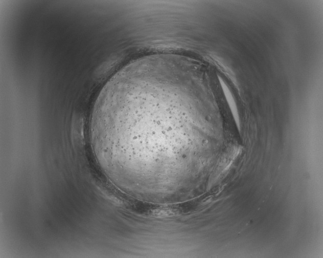 X0000082950115200702152250