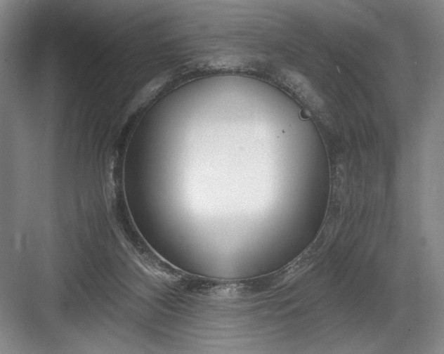 X0000082950116200702152250