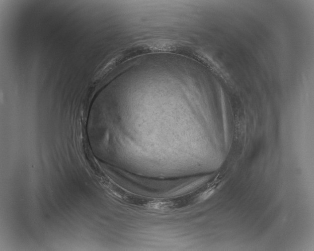 X0000082950117200702152250