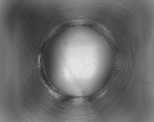 X0000082950118200702152250